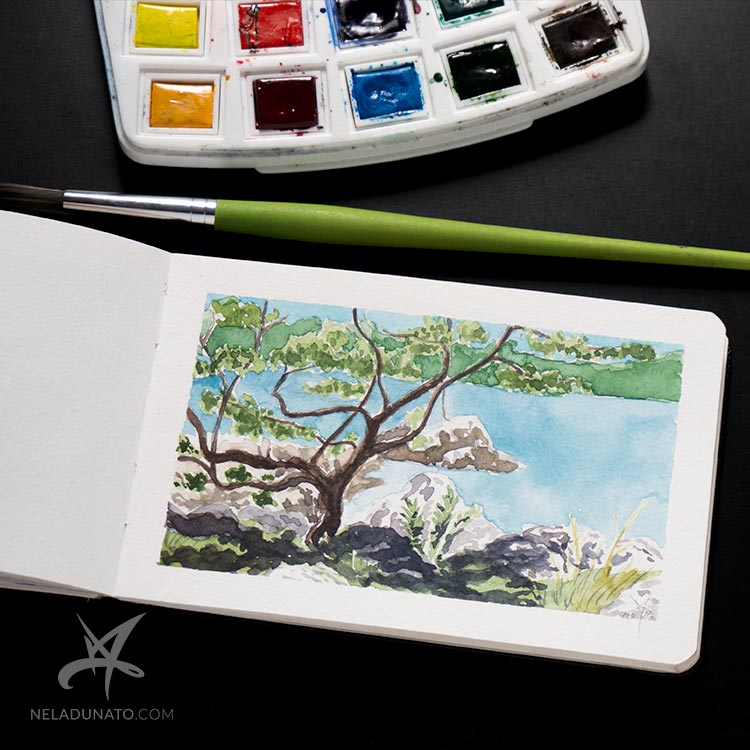 Sketchbook watercolor seascape: Small oak tree