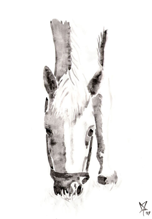 Lipizzan horse watercolor painting